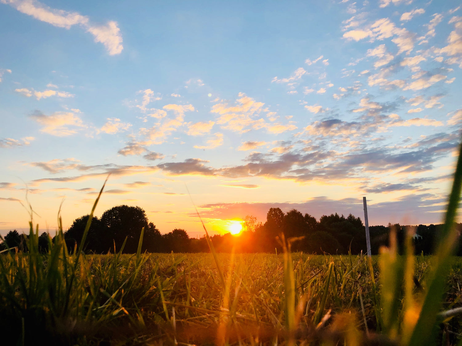 Exposure to morning daylight can solve sleep problems