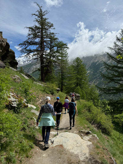 The Complete Retreat: Luxury Alpine Edition